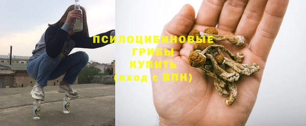 прущая мука Абаза