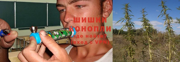 дурь Алексеевка